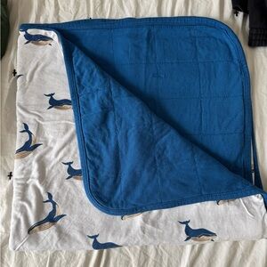 Whale Kyte baby blanket